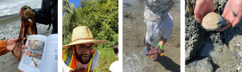 Shoreline Project Collage