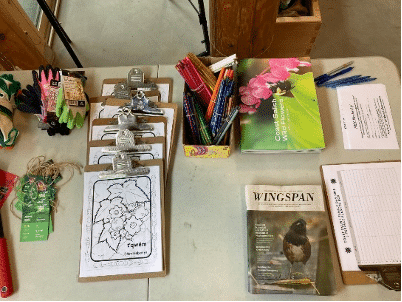 Shoreline Project Materials